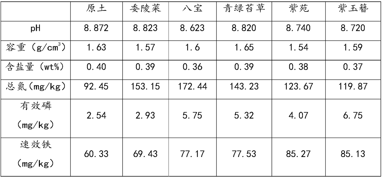 Soil improvement agent, preparation method, application and application method thereof