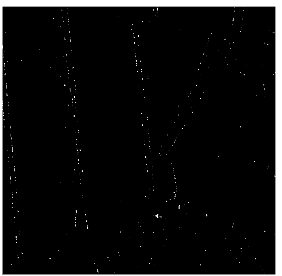 SAR image registration method based on SIFT and normalized mutual information