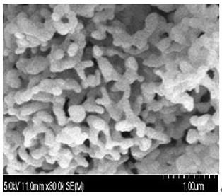 A light-cured bioceramic composite material for 3D printing and its application and printing system