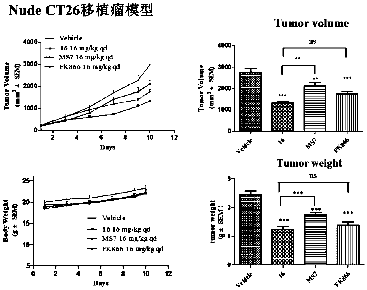 NAMPT protein degradation targeted chimera as well as preparation method and application thereof