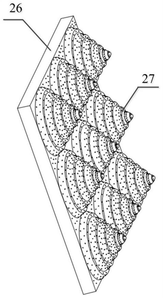 Surface microstructure array with water mist collecting function and molding method thereof