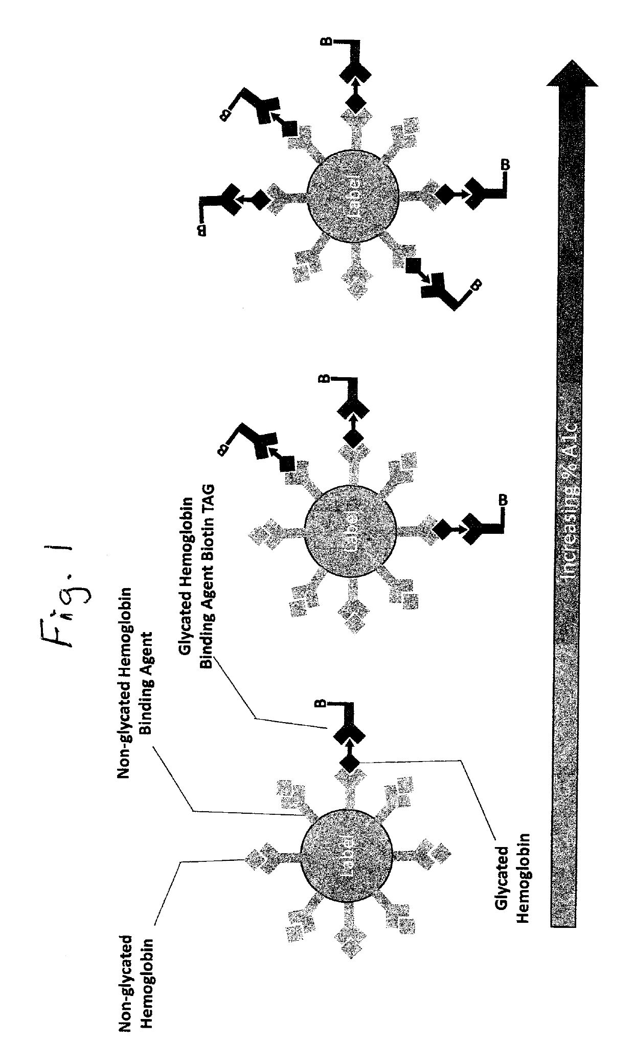 Saturation binding ratiometric assay