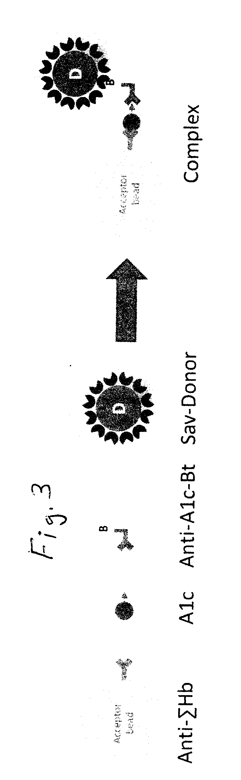 Saturation binding ratiometric assay