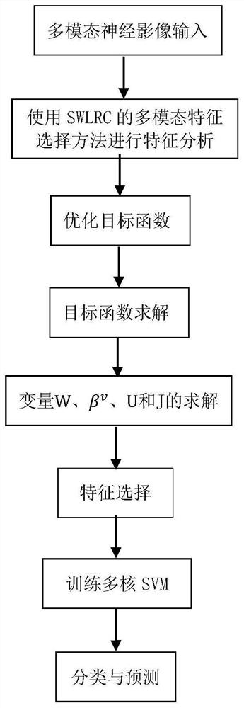 A method for processing multimodal brain neuroimaging features