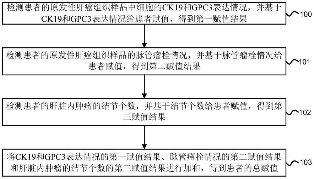 Prognosis grouping method, device and system for radical resection of primary liver cancer