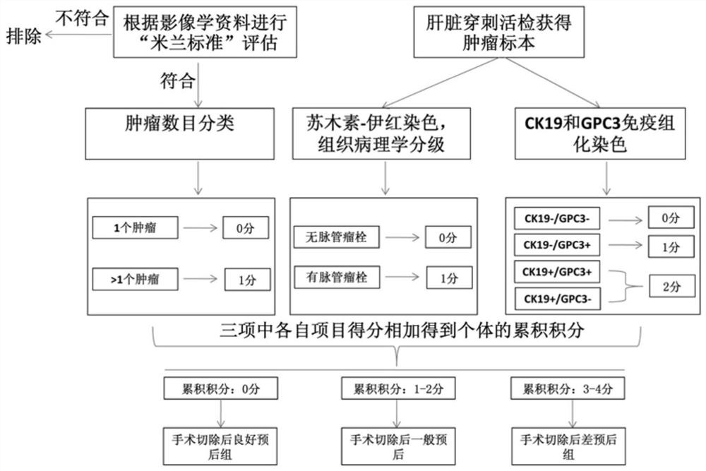 Prognosis grouping method, device and system for radical resection of primary liver cancer