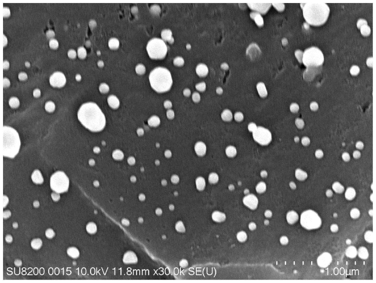 Catalyst loading CoCr(Mn/Al)FeNi high-entropy alloy nano particles and preparation method and application of catalyst