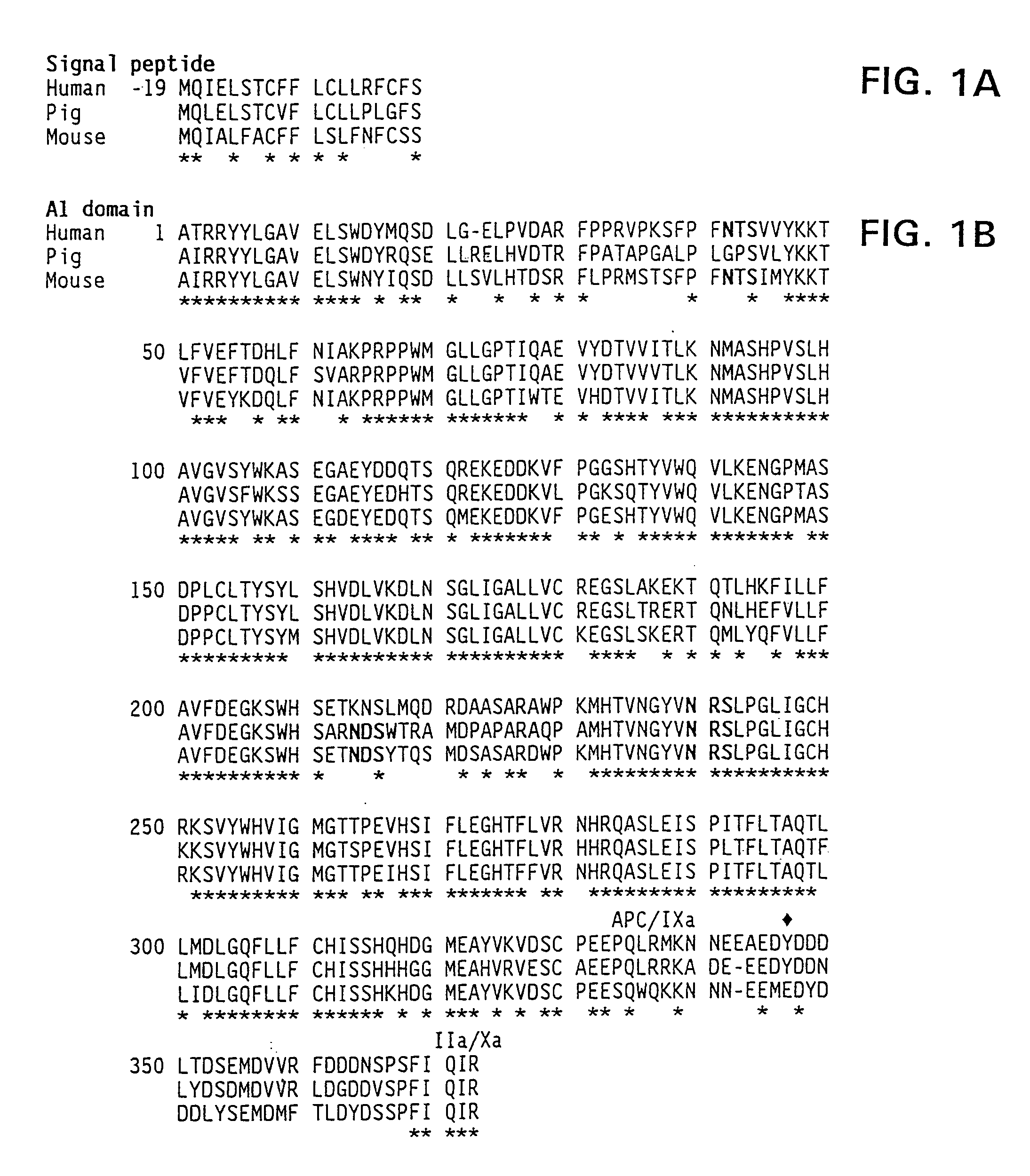 Modified factor VIII