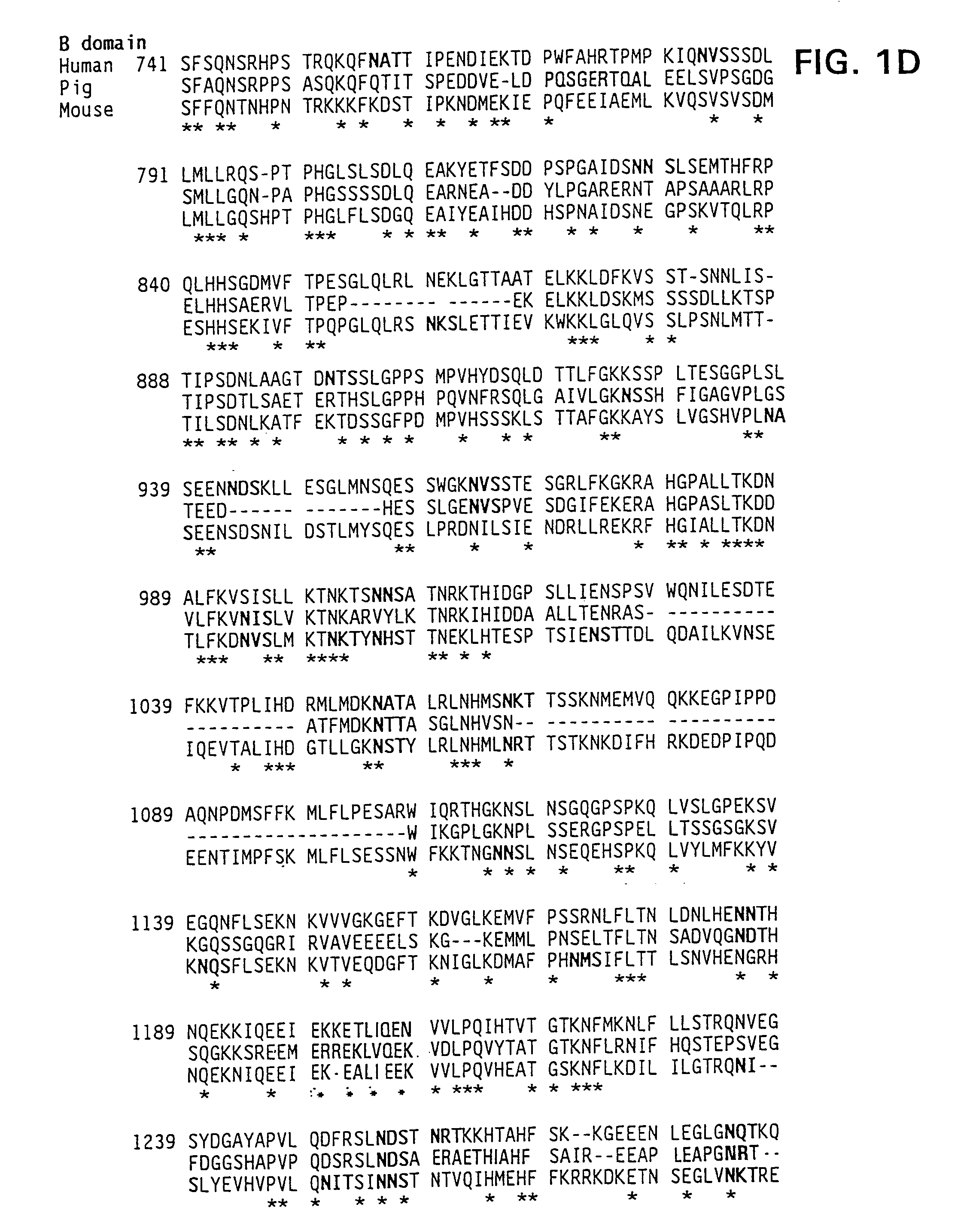 Modified factor VIII