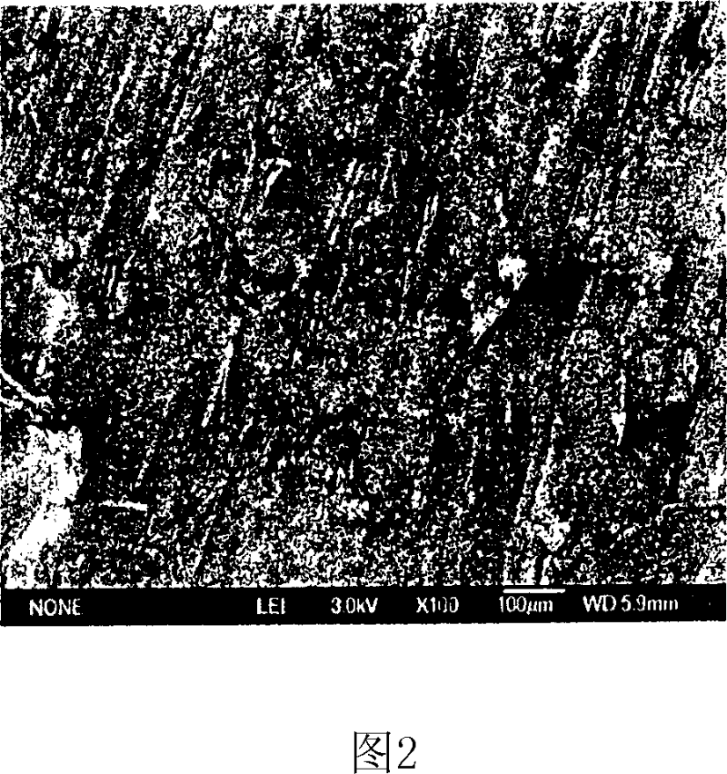 Conductive plastic and its processing method and apparatus