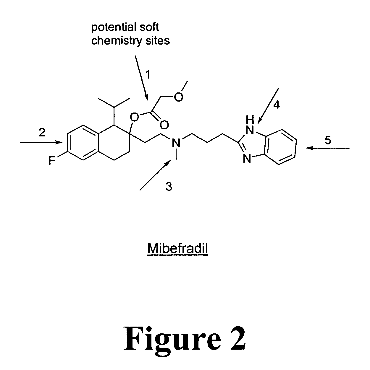 Materials and methods for the treatment of hypertension and angina