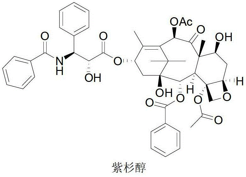 Semi-synthetic method of antineoplastic drug paclitaxel