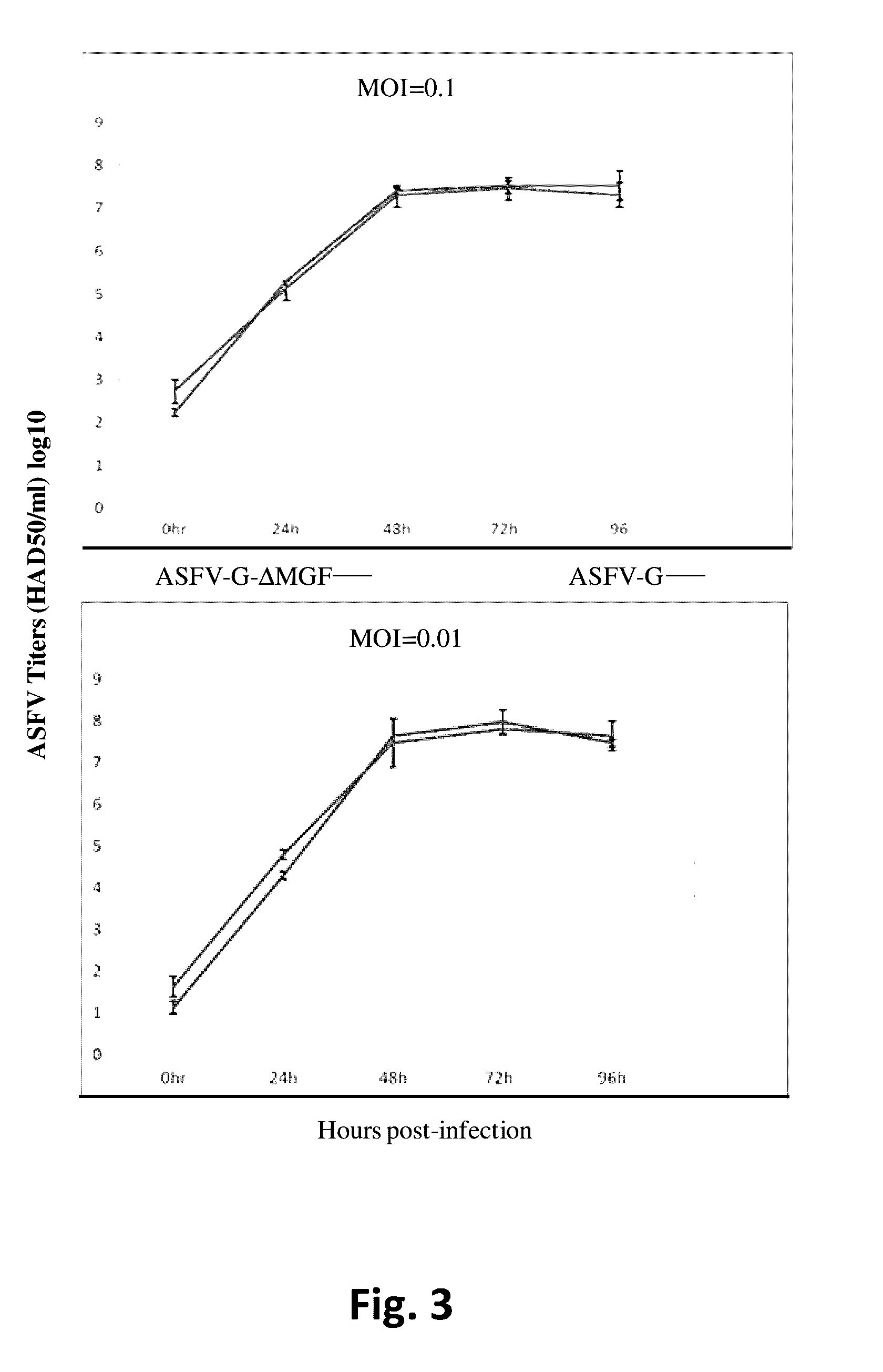 Attenuated African swine fever virus vaccine based in the deletion of MGF genes