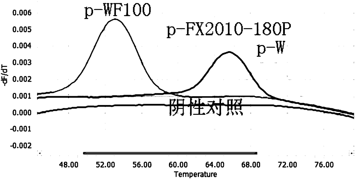 Combination of primer and probe for distinguishing duck tembusu virus wild virulent strain and vaccine strains