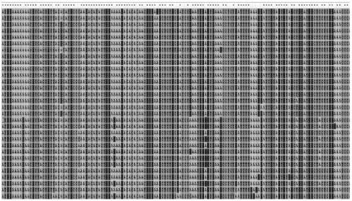 Detection method for H5 and H7N9 subtype high-pathogenicity avian influenza viruses