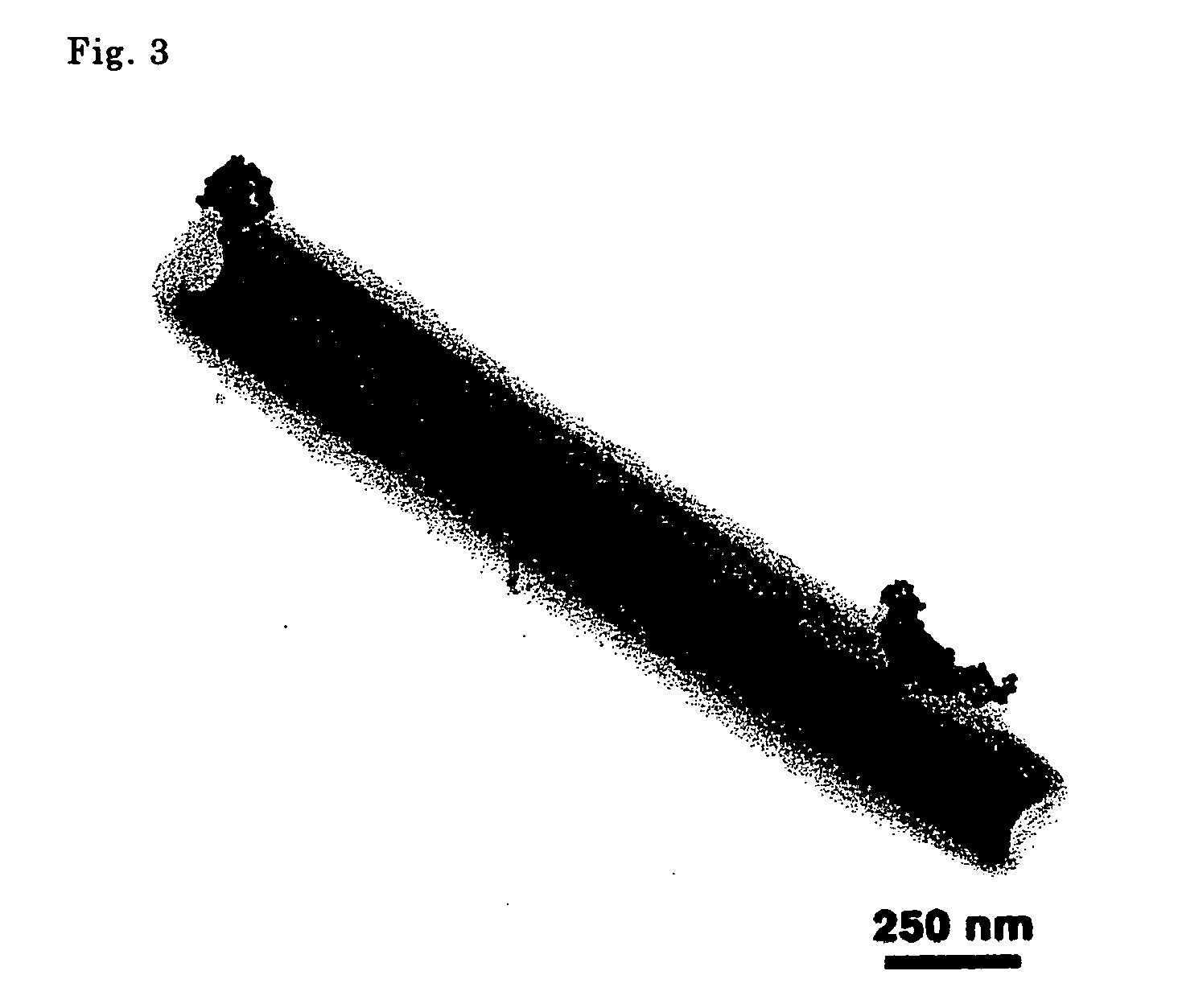 Method for introducing functional material into organic nanotube