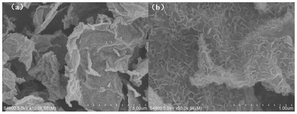 Nickel-doped tungsten disulfide/graphene oxide composite electrode material and preparation method and application thereof