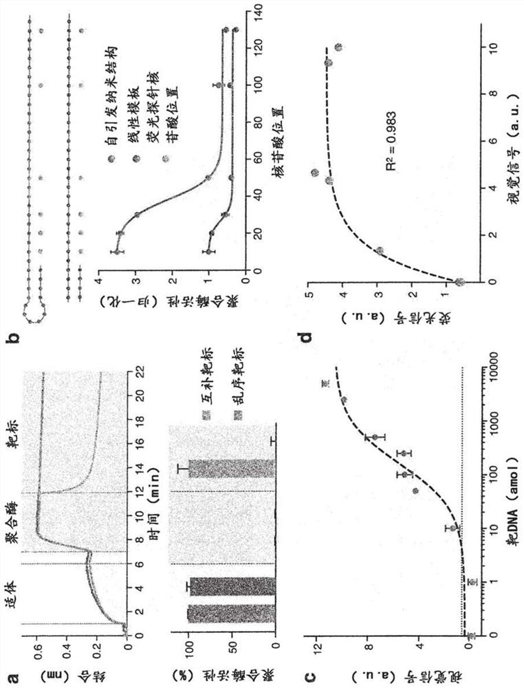 Visual and modular detection of nucleic acids with enzyme-assisted nanotechnology