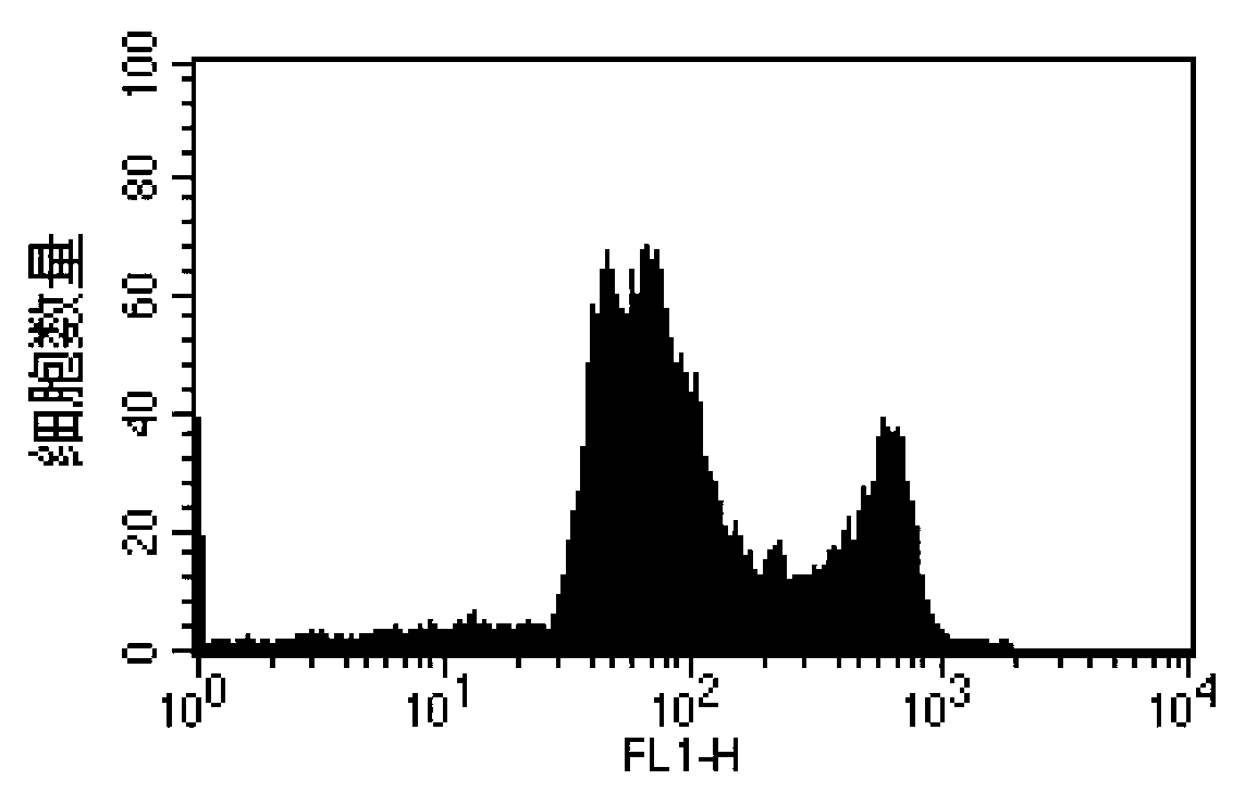 Flow cytometry detection method of nitric oxide level of shrimp blood corpuscles