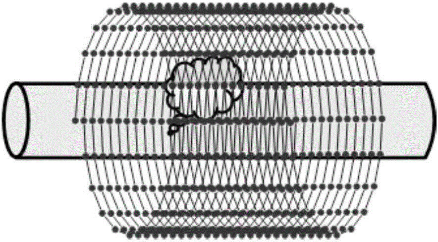 Airborne detecting device for laser remote sensing of gas leakage