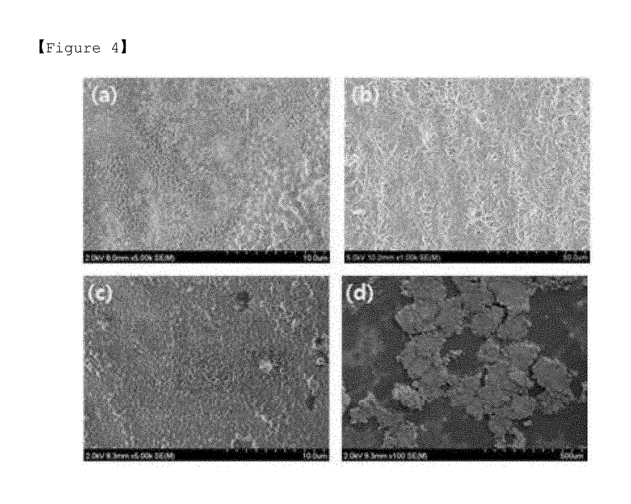 Anode comprising multiple protective layers, and lithium secondary battery comprising same