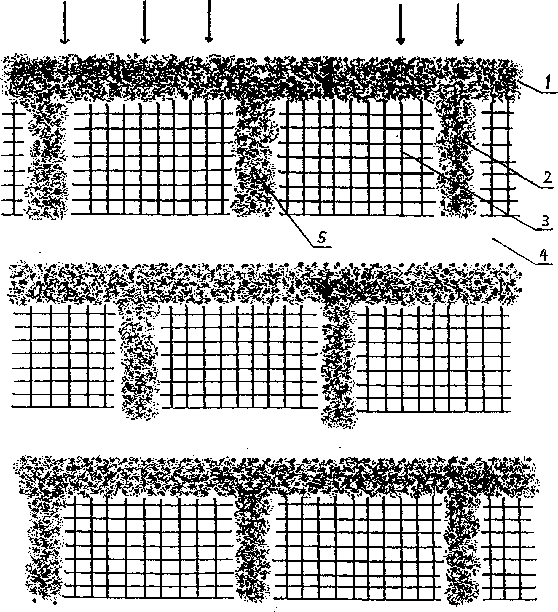 Method for inter-planting natural plants in sand soil field of desertification