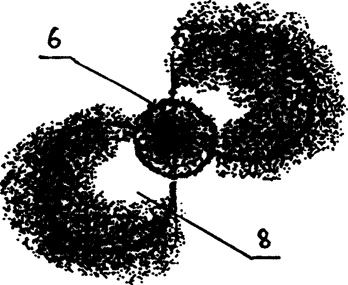 Method for inter-planting natural plants in sand soil field of desertification