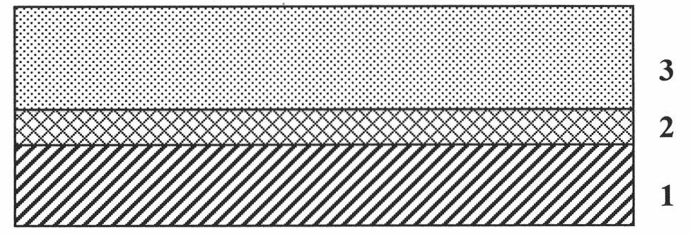 TiO2 nanowire array film light anode and preparation method thereof