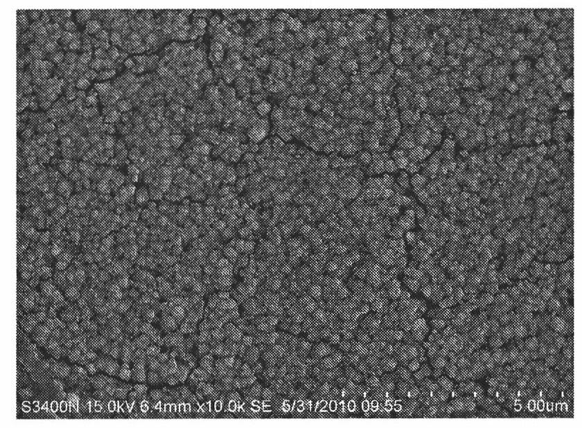 TiO2 nanowire array film light anode and preparation method thereof