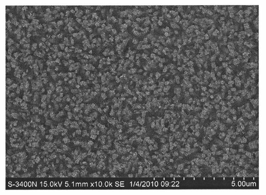 TiO2 nanowire array film light anode and preparation method thereof