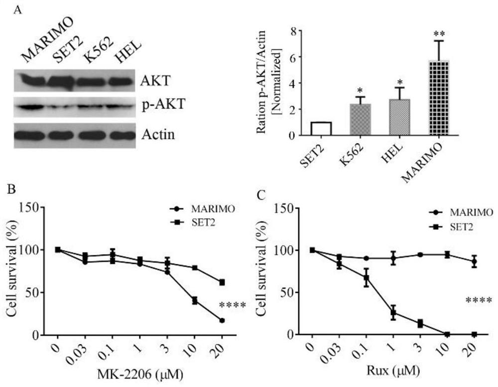 A pharmaceutical composition and its application in the preparation of drugs targeting calreticulin mutations in myeloproliferative diseases