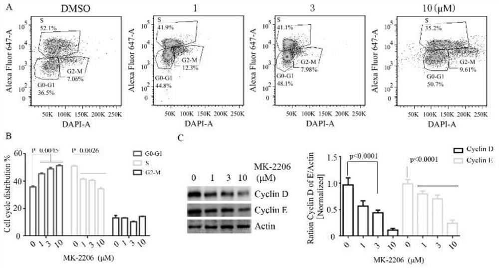 A pharmaceutical composition and its application in the preparation of drugs targeting calreticulin mutations in myeloproliferative diseases