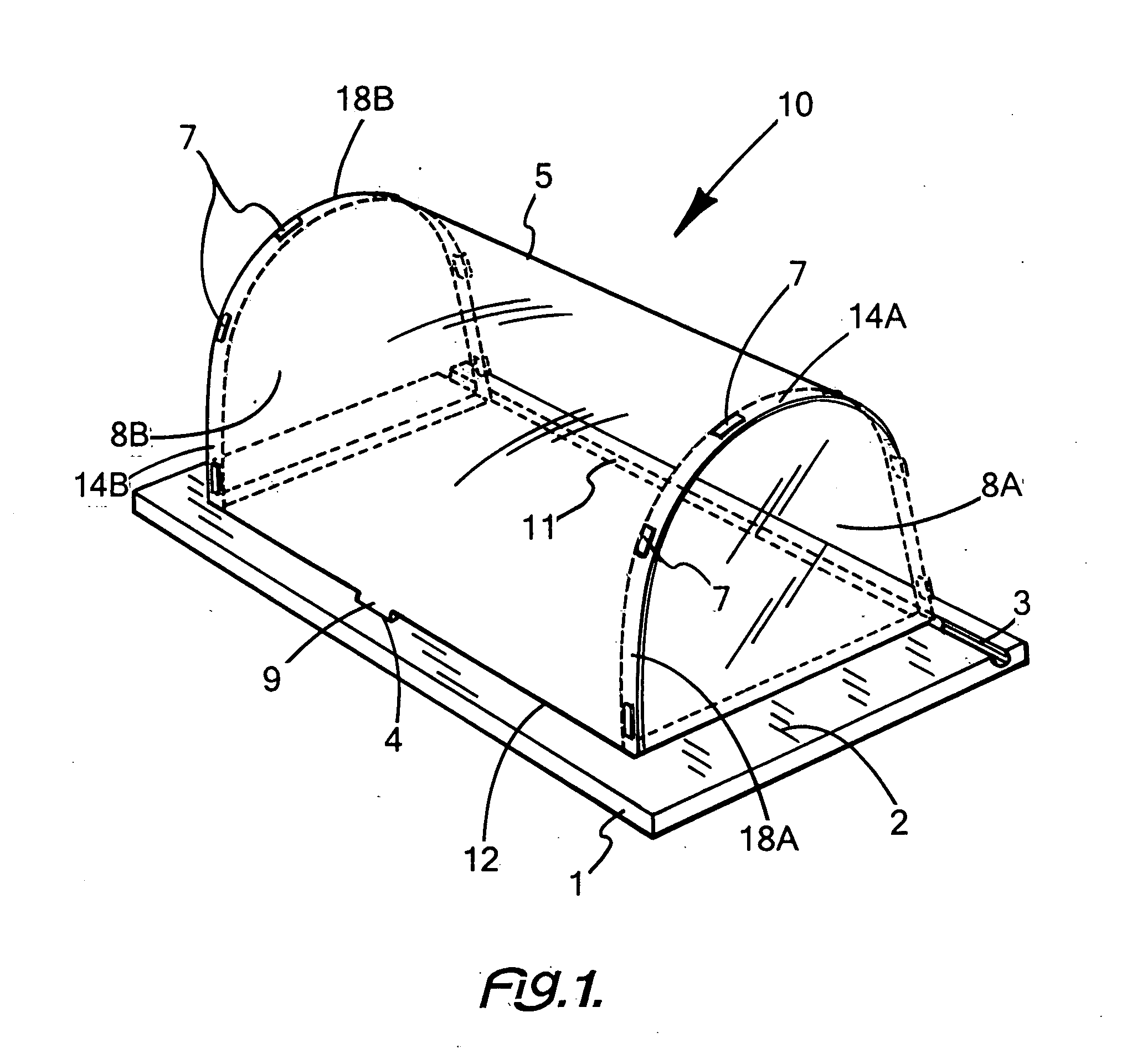 Collapsible food guard, display and server