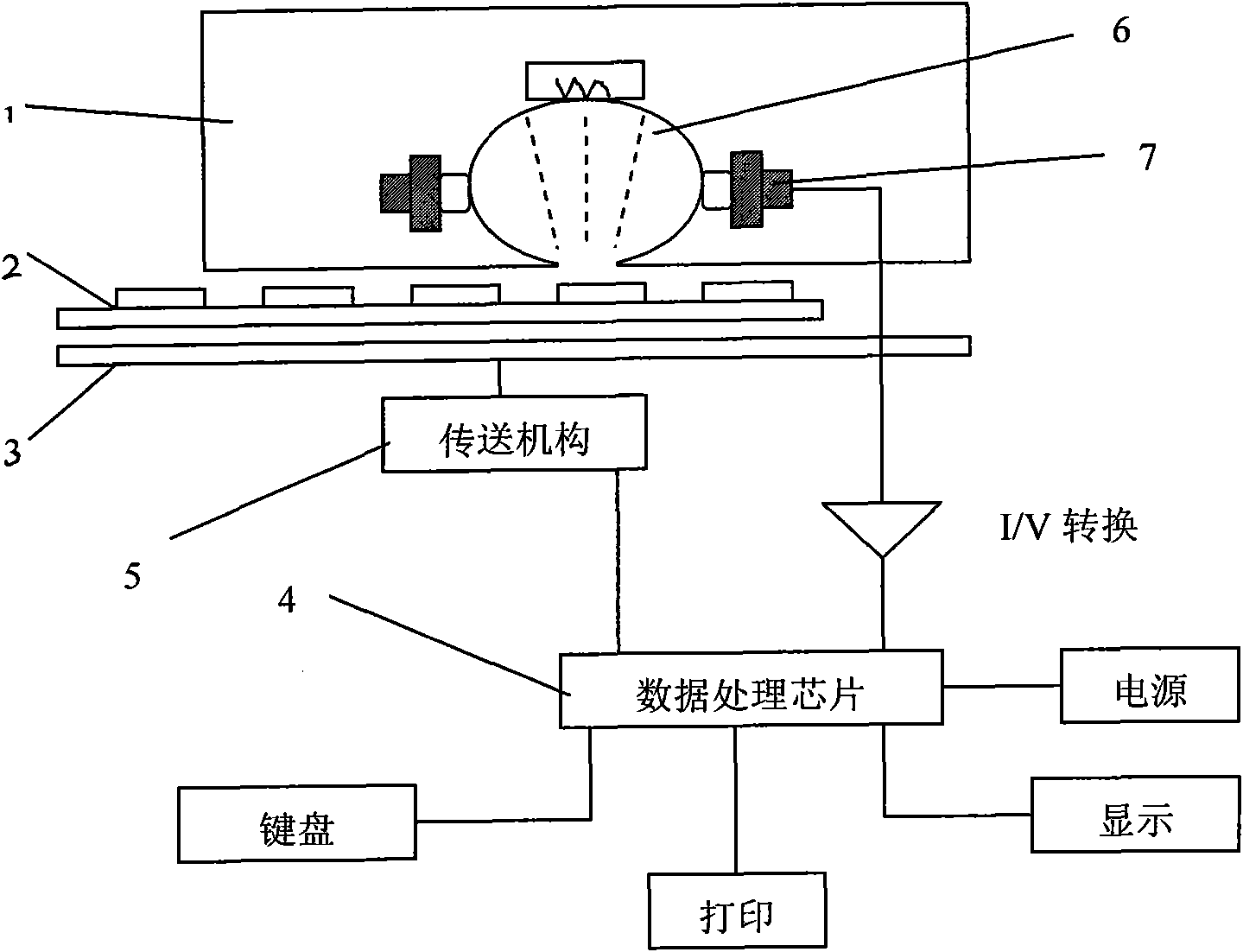 Rapid detection device, detection test strip and detection method for bacterial vaginosis