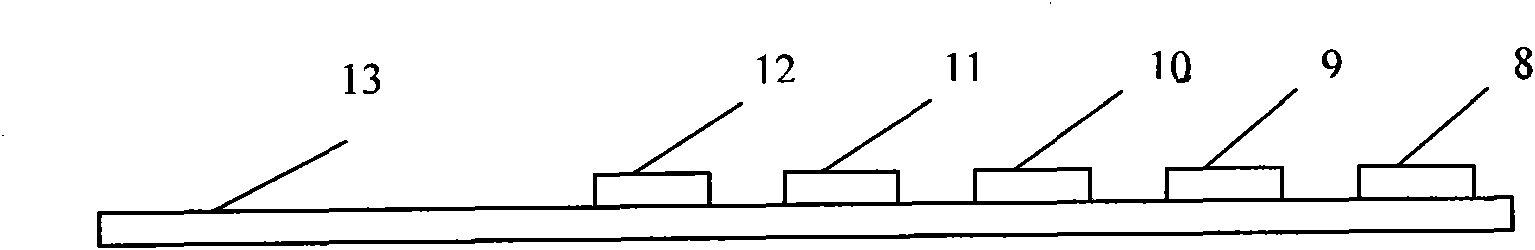 Rapid detection device, detection test strip and detection method for bacterial vaginosis