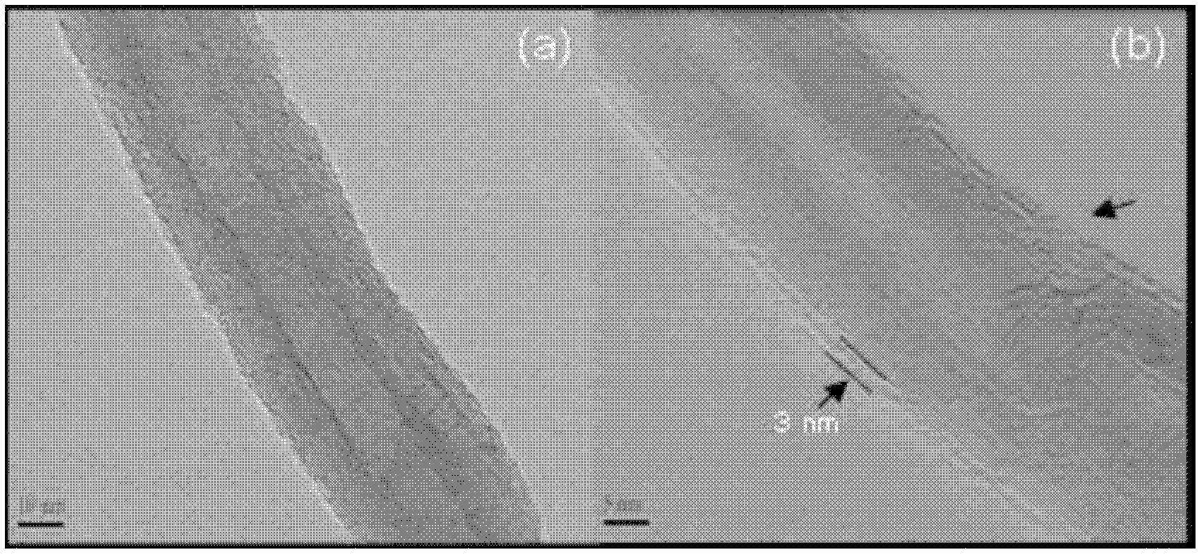 Targeting multifunctional carbon nanotube / polyethylenimine drug delivery carrier, and preparation method and application thereof