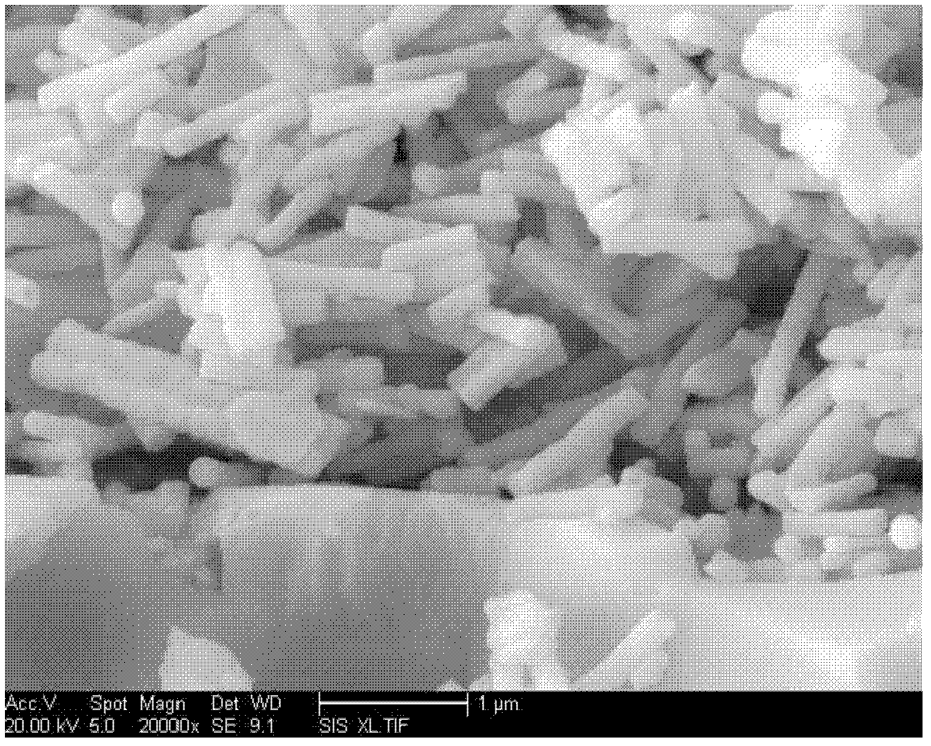 Intermediate-temperature solid oxide fuel cell one-dimensional nano composite cathode and preparation method thereof