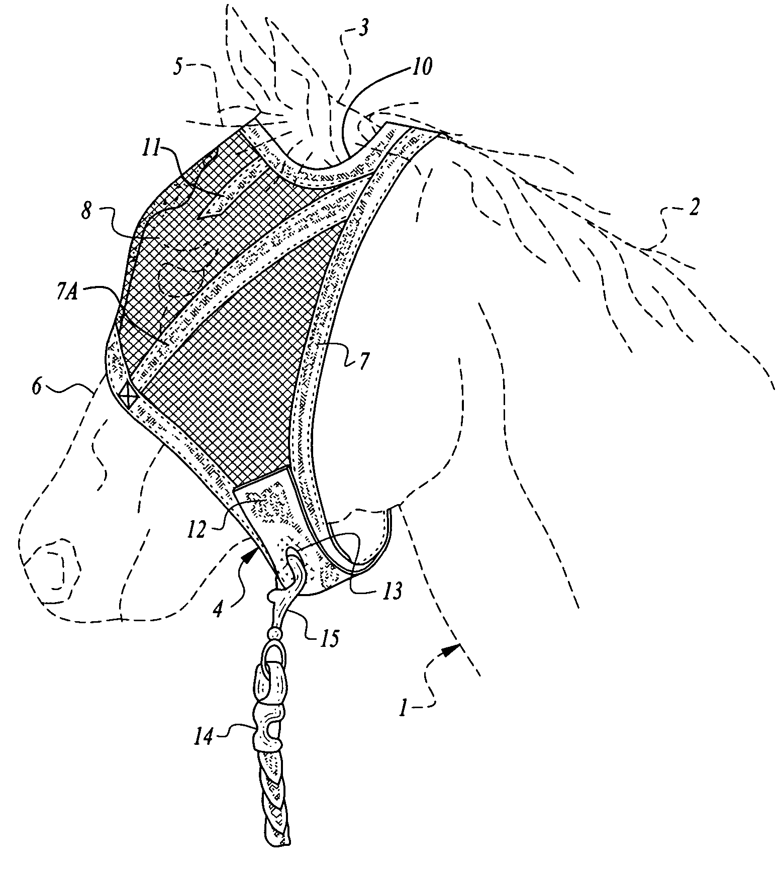 Protective mask and halter apparatus