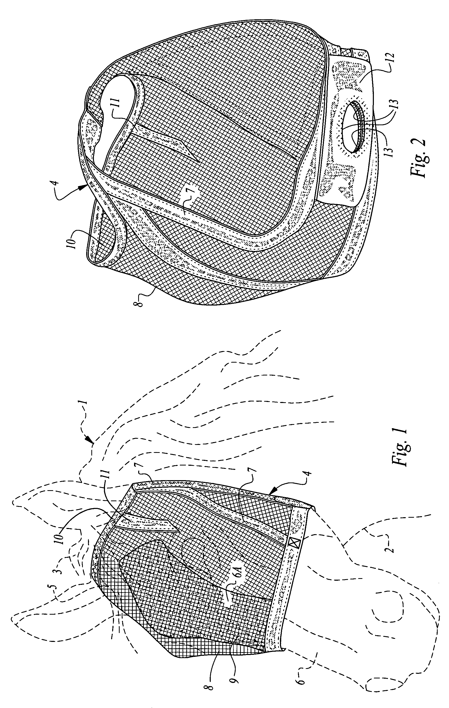 Protective mask and halter apparatus