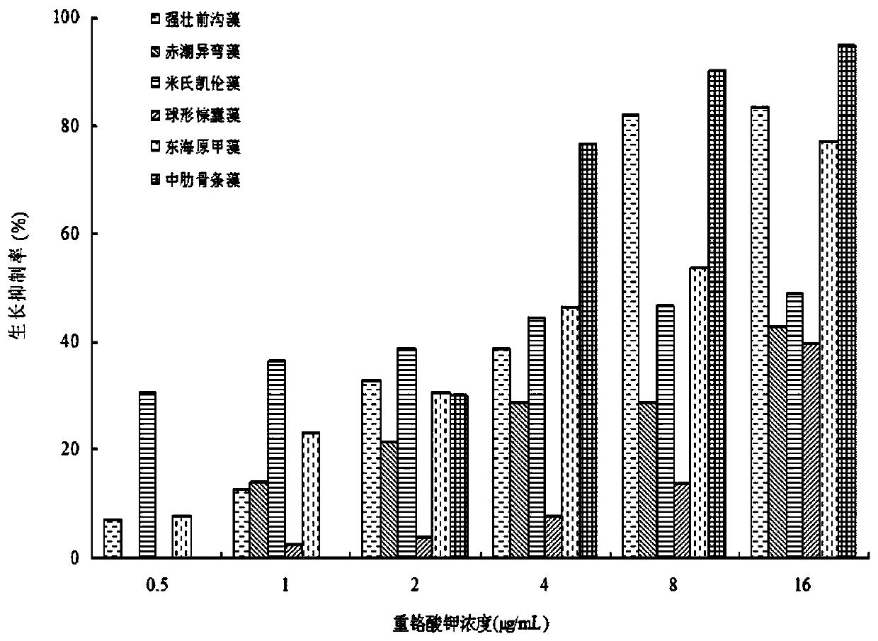 Algae-inhibiting use of cyclic dipeptide compounds and assay method for algae-inhibiting activity