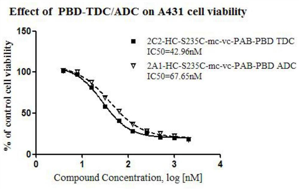 Cysteine ​​engineered antibody-toxin conjugates