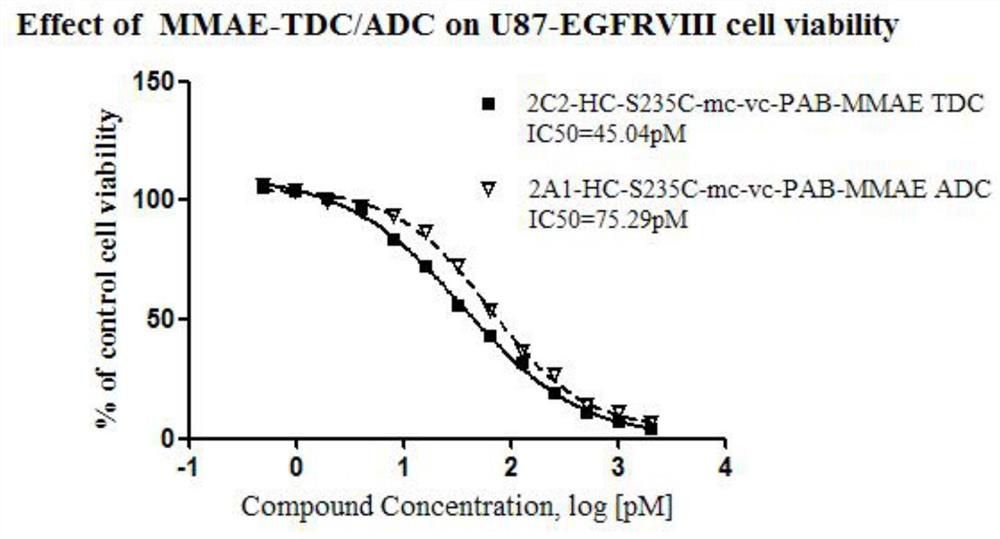 Cysteine ​​engineered antibody-toxin conjugates