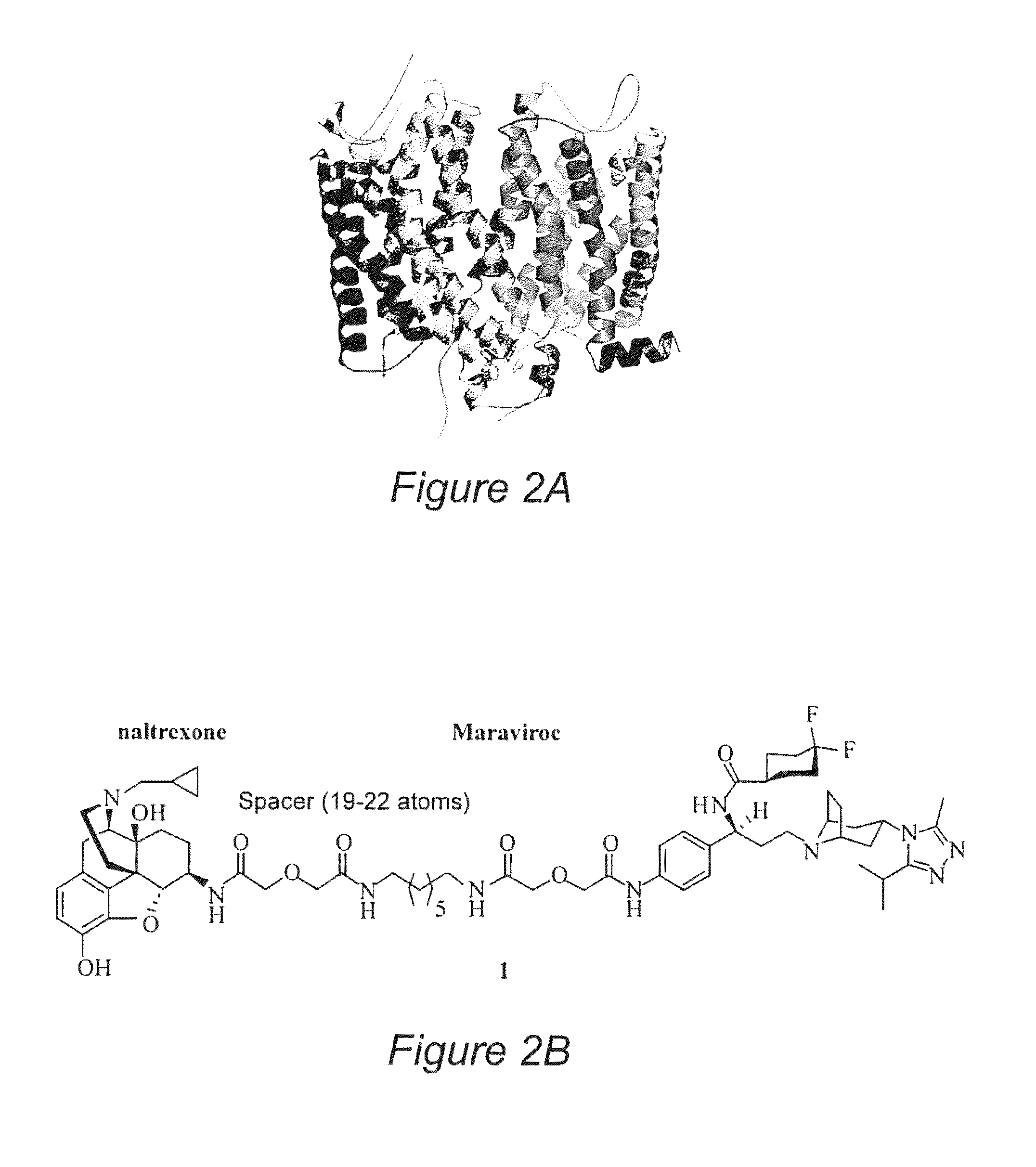 Bivalent Ligands for the Treatment of Neurological Disorders