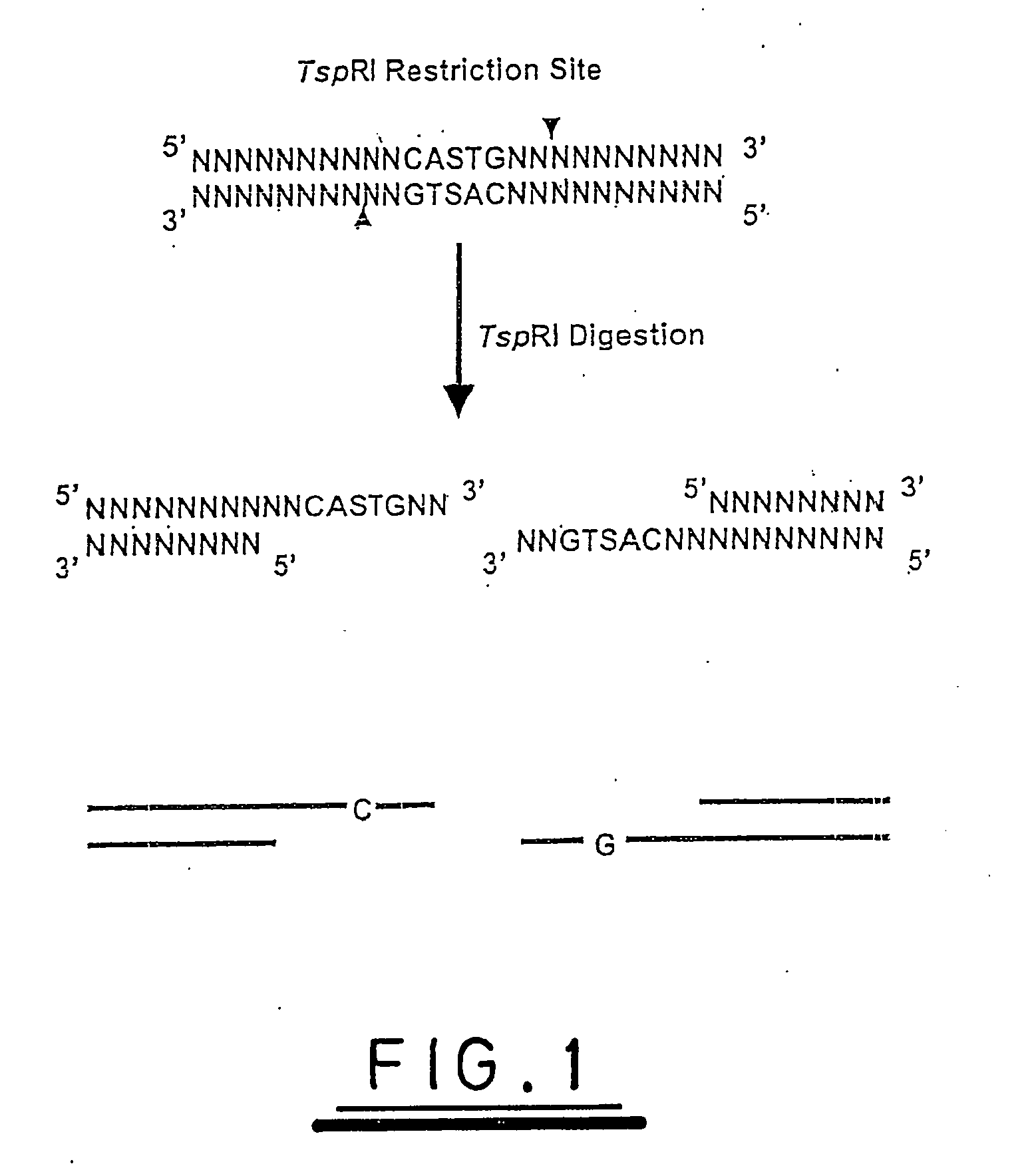 Nucleic acid analysis