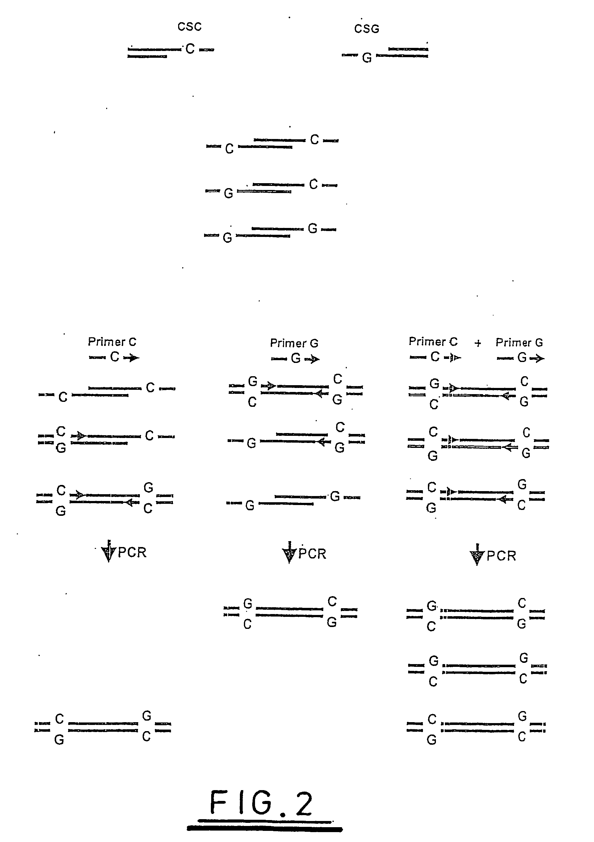 Nucleic acid analysis