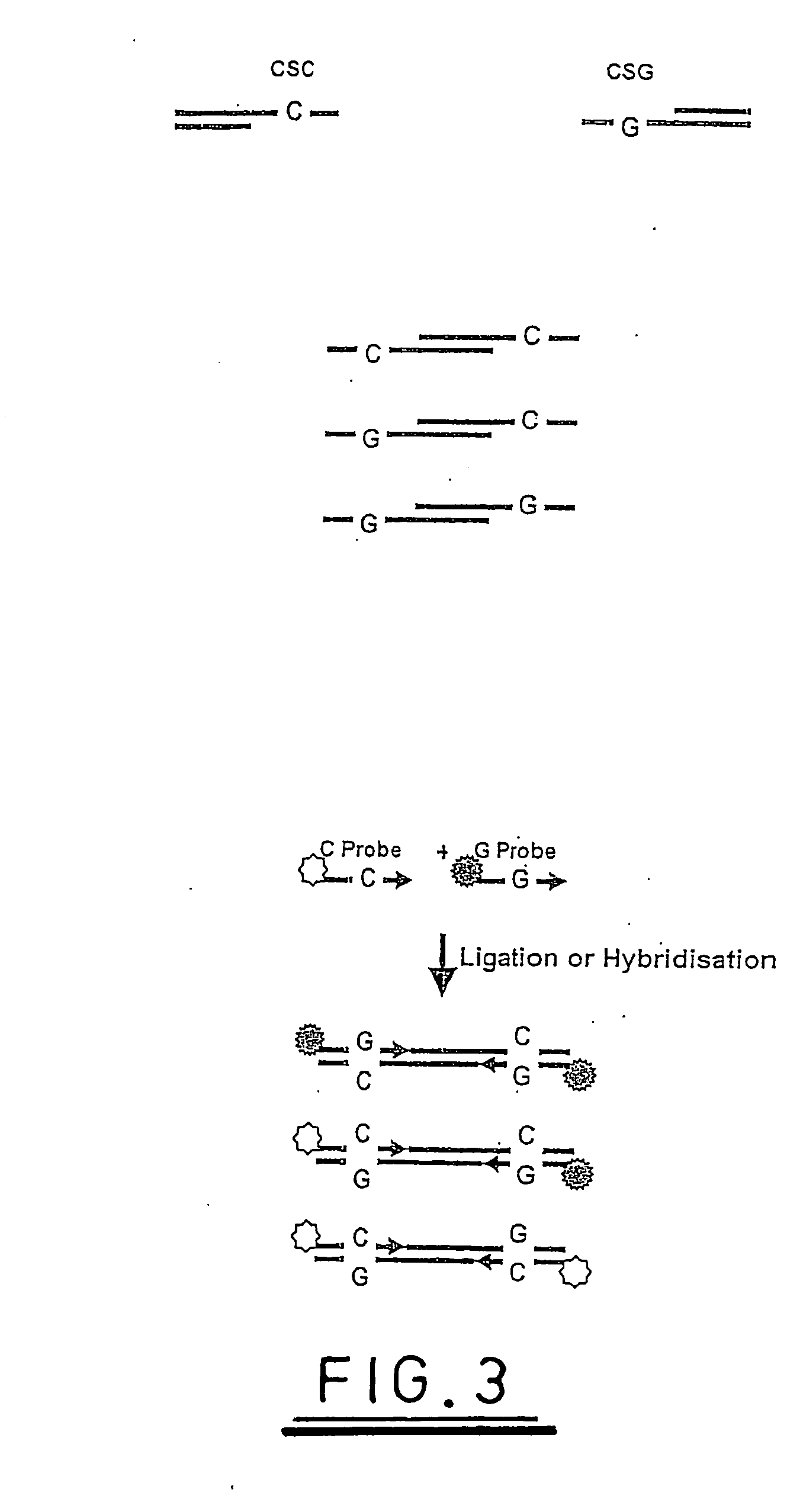 Nucleic acid analysis