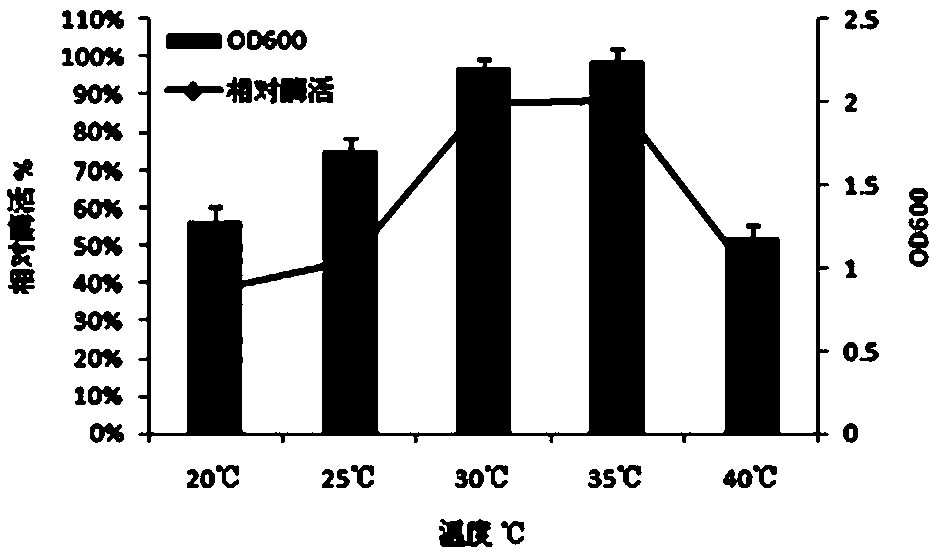 Method for preparing slow-release and synergistic fucoidan nitrogen fertilizer by compound microbial fermentation