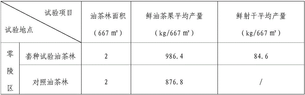 Method for interplanting blackberry lily under oil tea forests