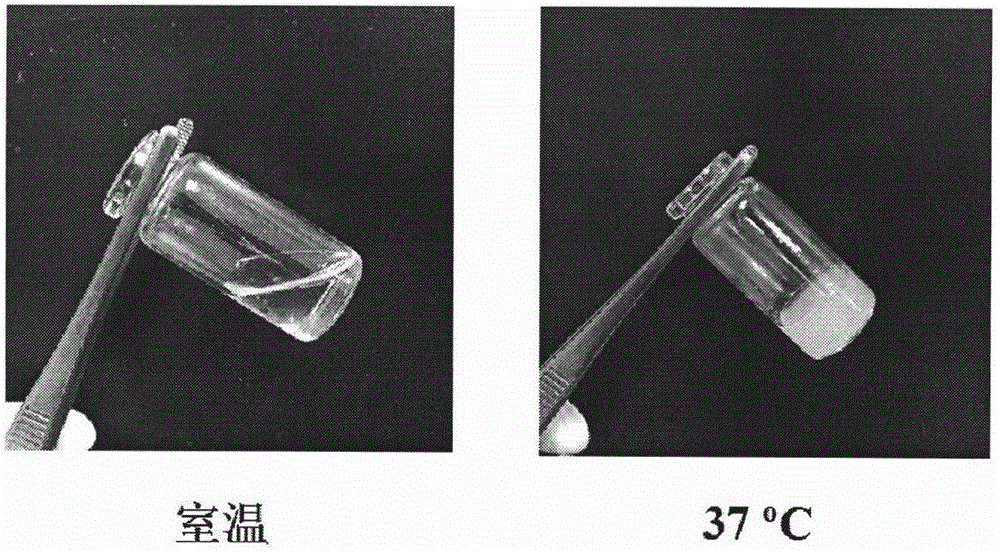 Doxorubicin hydrochloride loaded temperature-sensitive self-healing hydrogel and preparation method thereof