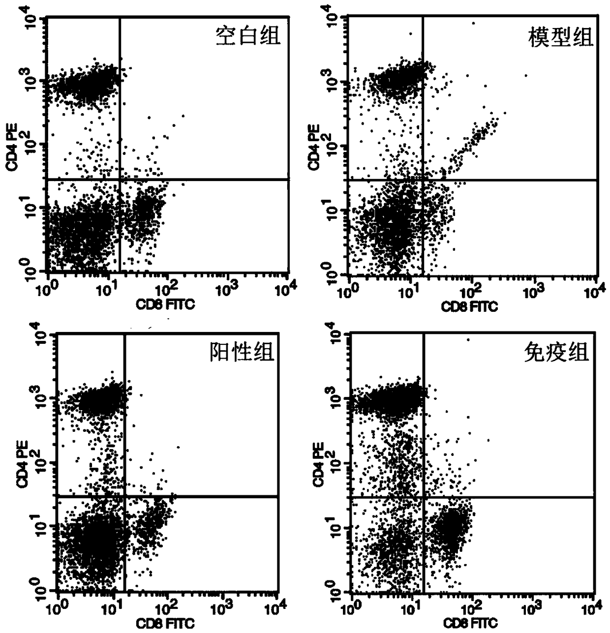 Preparation of broad spectrum antitumor mouse mold with apoptotic body vaccine immunity